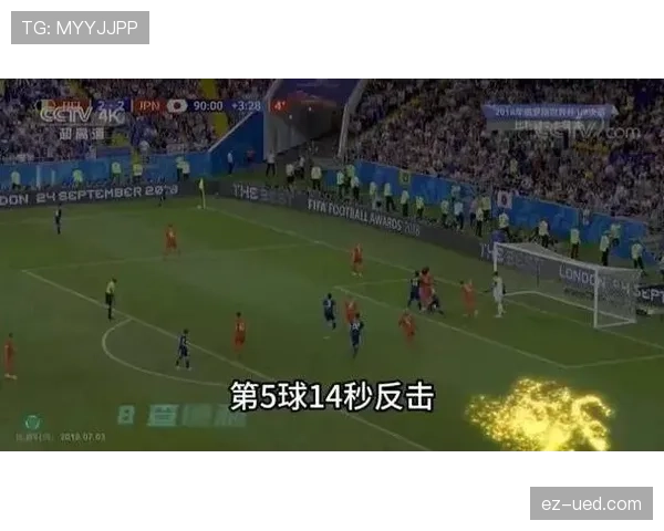 比利时世界杯历史战绩回顾